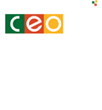 CÔNG TY CỔ PHẦN TẬP ĐOÀN C.E.O - Tập đoàn CEO